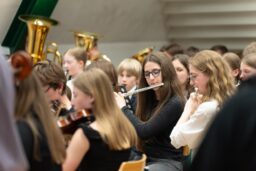 Koncert orkestrov in komornih skupin